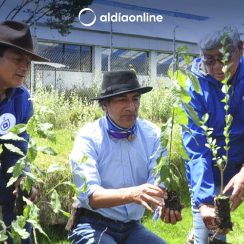 YAKU PEREZ VISITÓ  LATACUNGA Y SEMBRÓ PLANTAS EN LAS RIVERAS DEL ILLUCHI SECTOR LA LAGUNA (VIDEO)