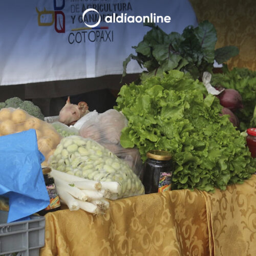 PRODUCTORES DE COTOPAXI OFRECEN CANASTAS DE PRODUCTOS AGRÍCOLAS ORGÁNICOS