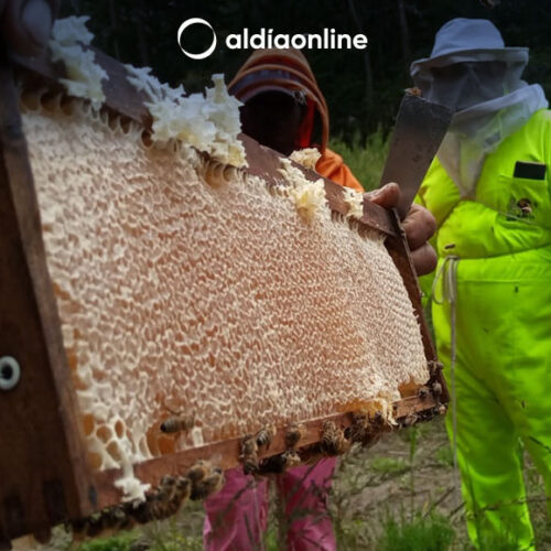 MAG ORGANIZÓ DÍA DE CAMPO CON PRODUCTORES APÍCOLAS DE COTOPAXI