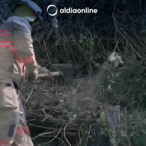 CUERPO DE BOMBEROS SAQUISILÍ, ATENDIÓ INCENDIO FORESTAL EN COCHAPAMBA, NO EXISTIÓ VÍCTIMAS MORTALES. (VIDEO)