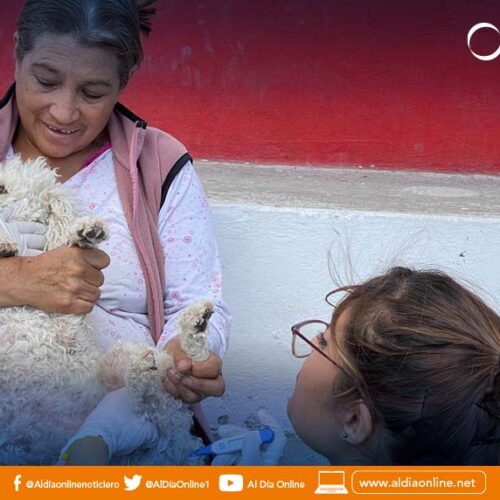 MUNICIPIO REALIZA CAMPAÑA DE DESPARASITACIÓN GRATUITA EN EL CANTÓN LATACUNGA
