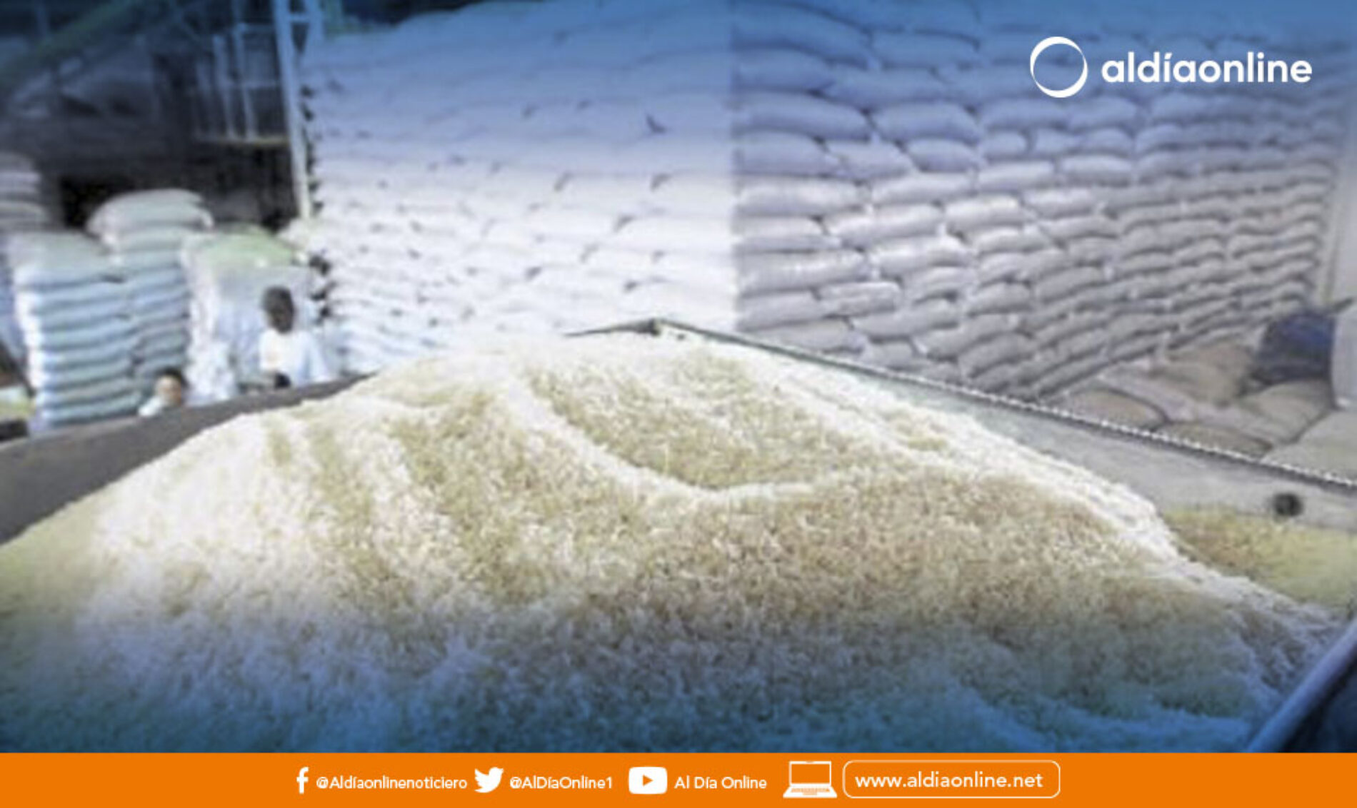 PRODUCTORES RECLAMAN DECISIÓN DEL GOBIERNO DE IMPORTAR ARROZ