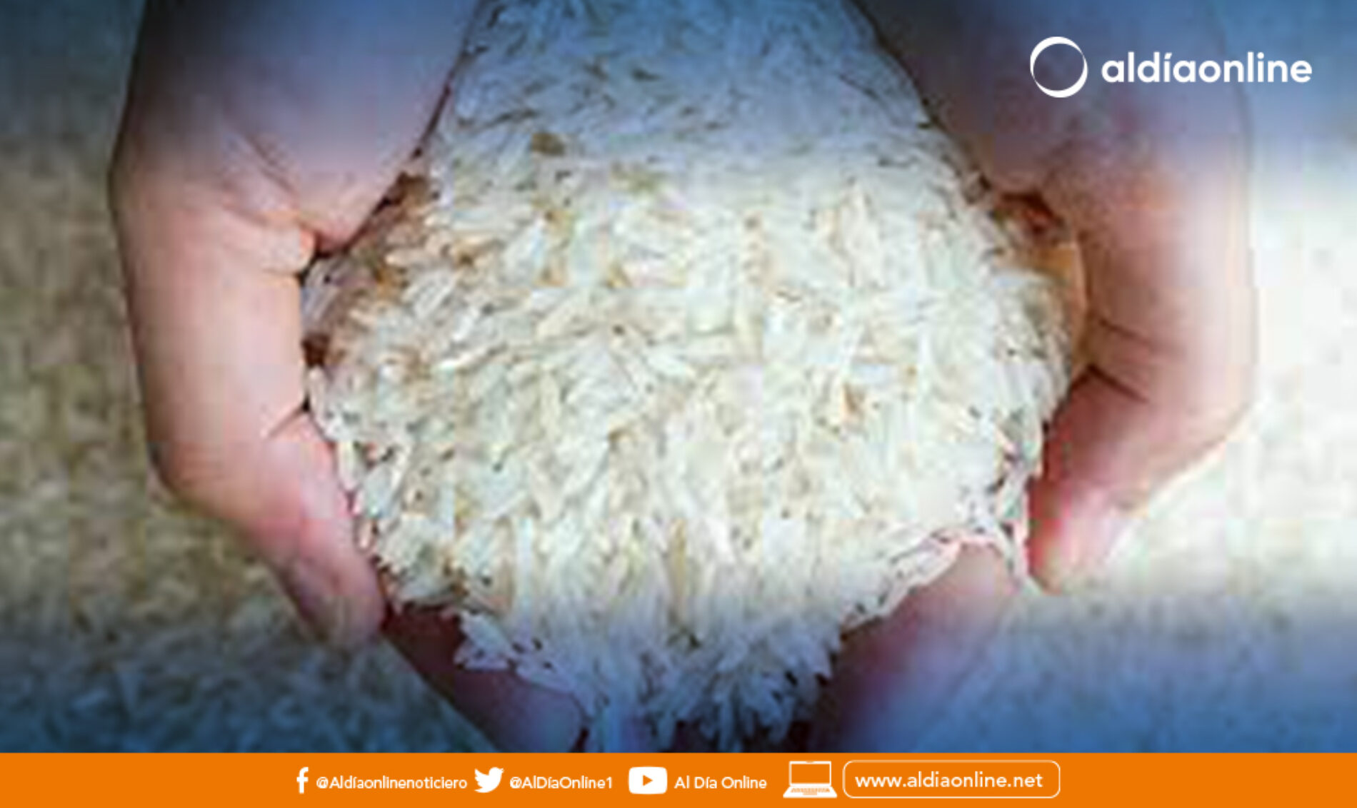 CONTROLES POR ALZA EN EL PRECIO DEL ARROZ EN TIENDAS Y MERCADOS DEL ECUADOR