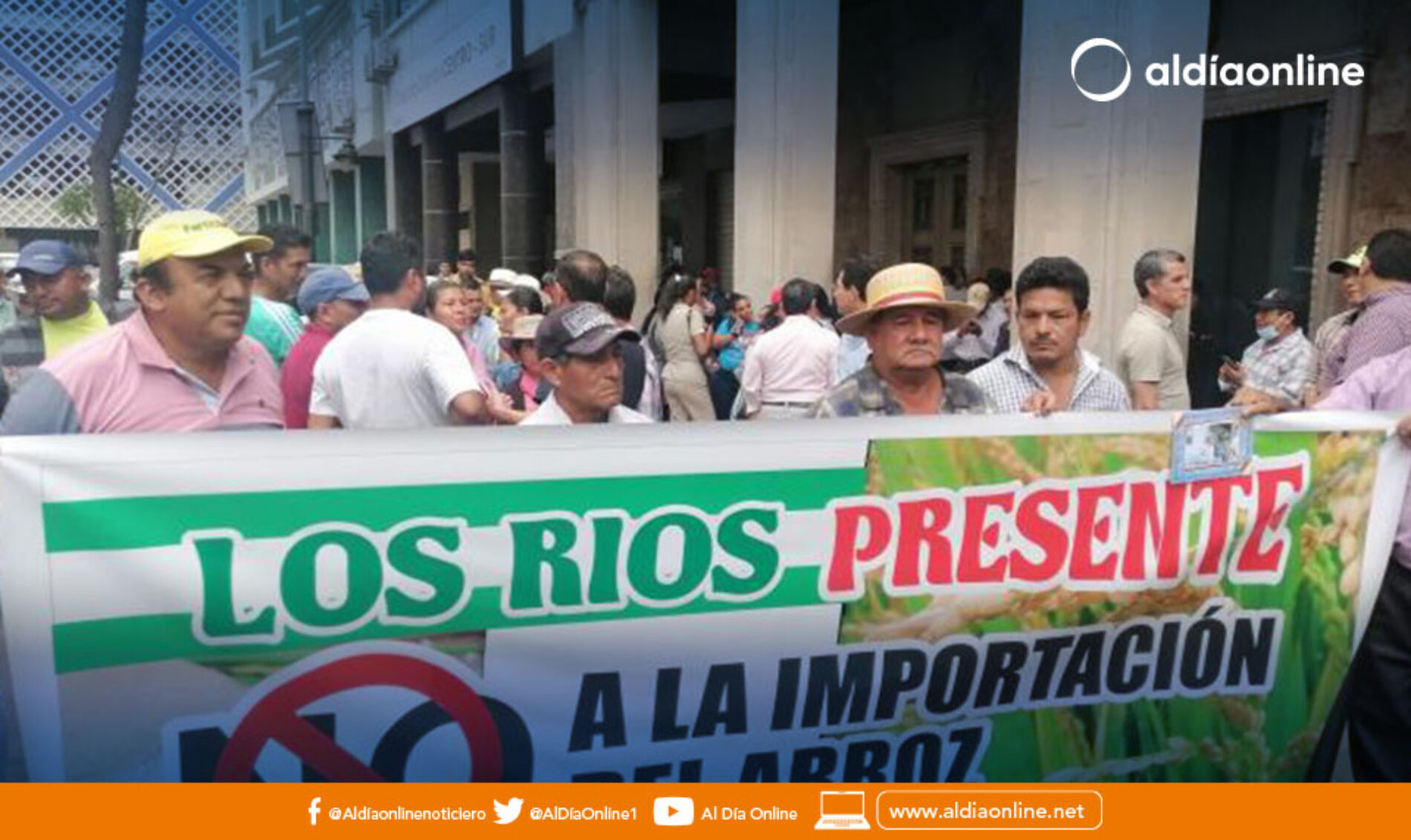 PRODUCTORES RECLAMAN DECISIÓN DEL GOBIERNO DE IMPORTAR ARROZ