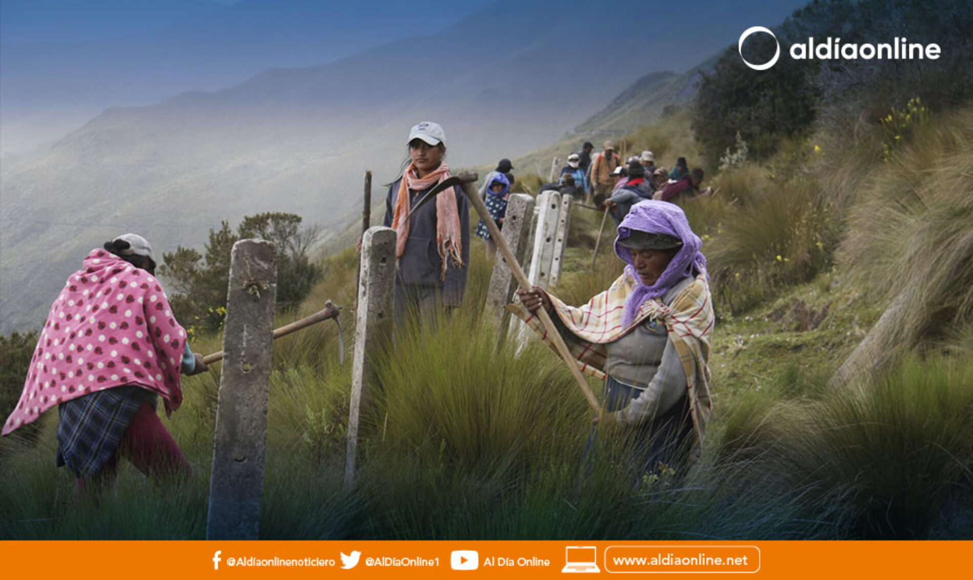 GAD PROVINCIAL DE COTOPAXI  REALIZÓ MINGA PARA LA REGENERACIÓN Y CUIDADO DE LOS PÁRAMOS.