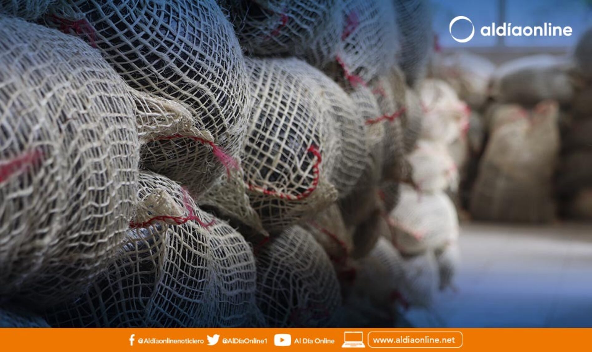 PREFECTURA DE COTOPAXI ENTREGÓ 150 KITS AGRICULTORES DE LAS COMUNIDADES CACHI ALTO Y CHINIBAMBA DE PUJLÍ