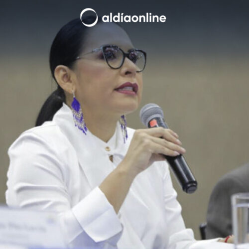CNE PIDE USD 19 MILLONES PARA CONTINUAR CON ELECCIONES DE AGOSTO