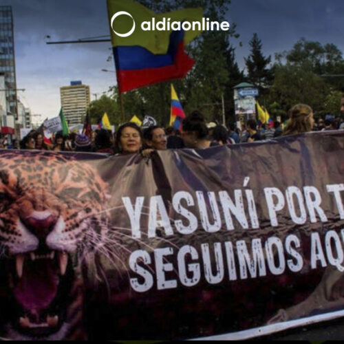 GRUPOS ECOLOGISTAS ALISTAN CAMPAÑA PARA LA CONSULTA POR EL YASUNÍ
