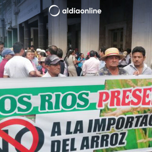 PRODUCTORES RECLAMAN DECISIÓN DEL GOBIERNO DE IMPORTAR ARROZ