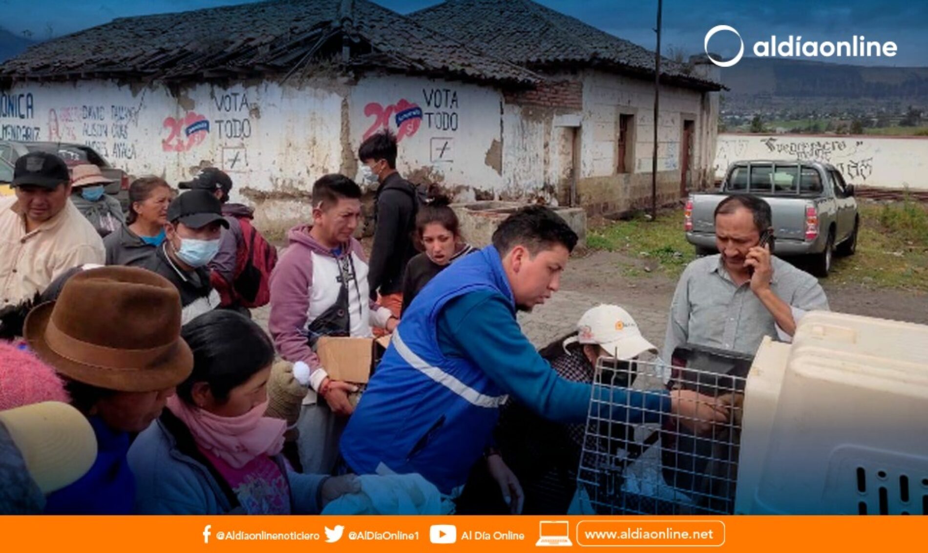 PROYECTO DE FAUNA URBANA AVANZA EN BENEFICIO DE LOS PERROS CALLEJEROS DE SALCEDO. (VIDEO)