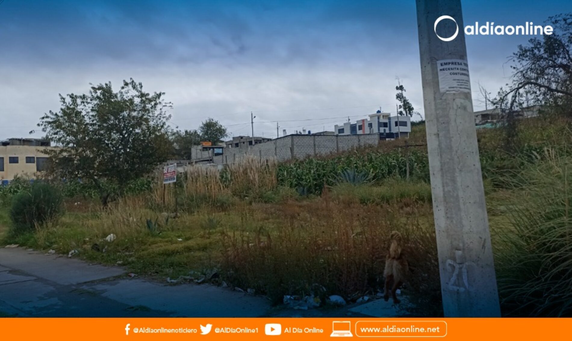 REFORMA DE ORDENANZA PERMITIRÁ AL GADMIC SAQUISILÍ LEVANTAR CERRAMIENTOS EN LOTES BALDÍOS. (VIDEO)