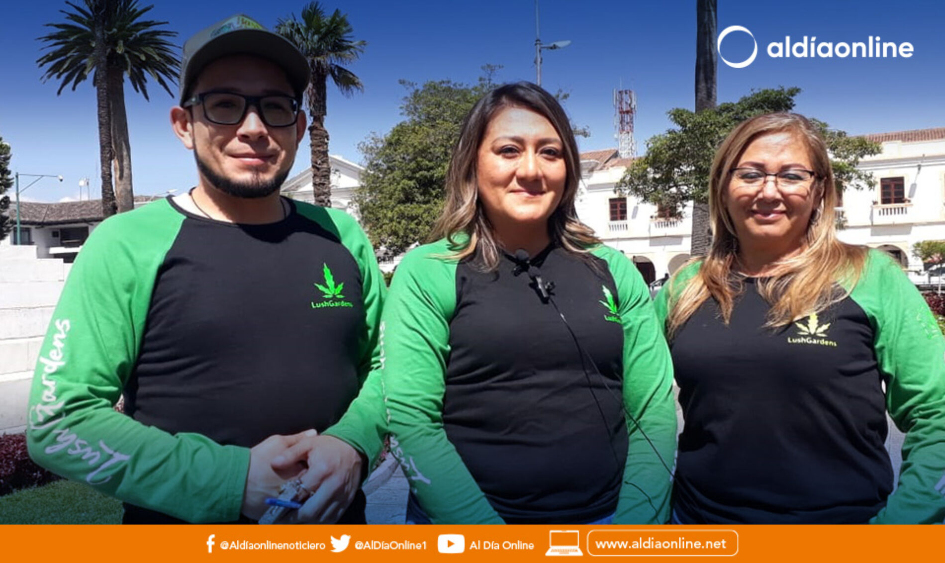 EN COTOPAXI SE CULTIVA CANNABIS PARA MEDICINA NO PSICOACTIVO.(VIDEO)