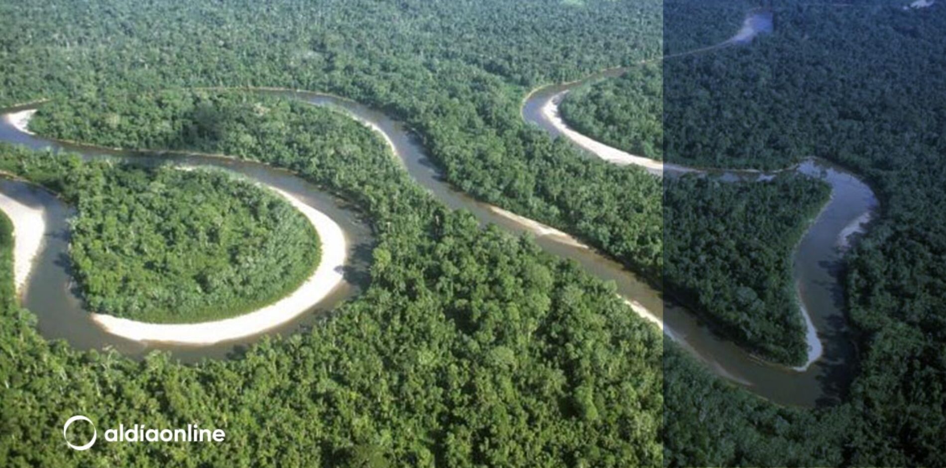 9 ORGANIZACIONES PODRÁN REALIZAR CAMPAÑA EN LA CONSULTA POPULAR DEL YASUNÍ