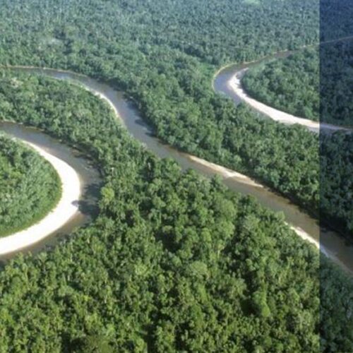 9 ORGANIZACIONES PODRÁN REALIZAR CAMPAÑA EN LA CONSULTA POPULAR DEL YASUNÍ