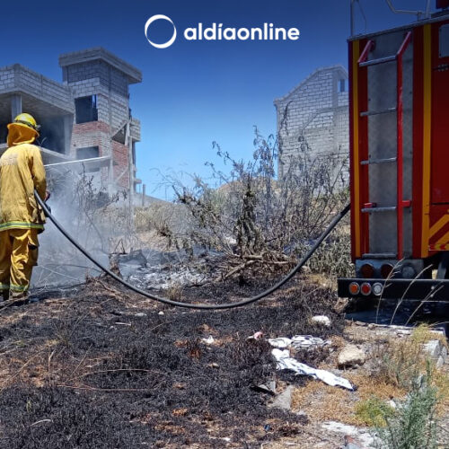INCREMENTO DE INCENDIOS FORESTALES SE REGISTRAN EN LATACUNGA (VIDEO)