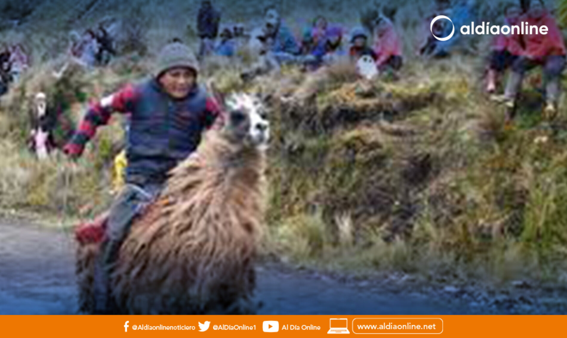 DIRECCIÓN DE DESARROLLO SOCIAL DEL GADMIC SAQUISILÍ ORGANIZA CARRERA DE LLAMIGOS EN LA PARROQUIA COCHAPAMBA
