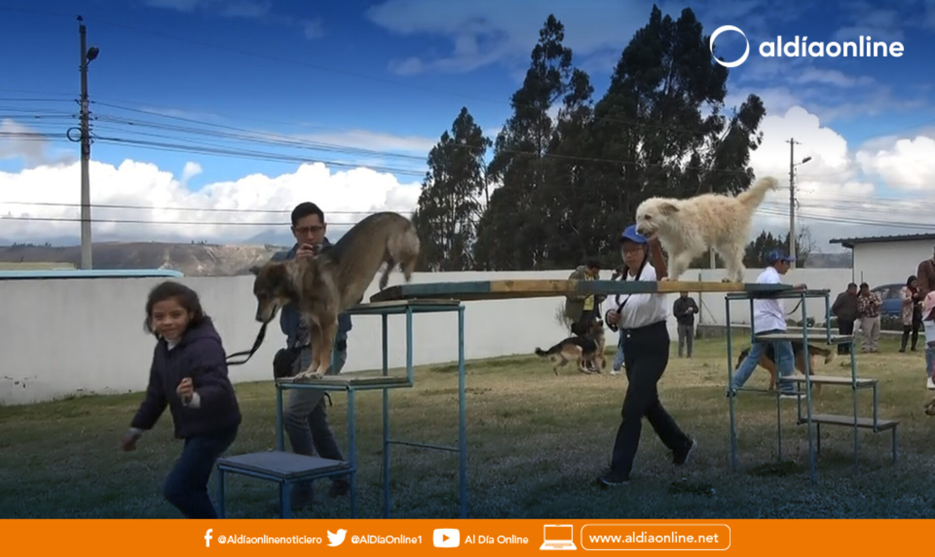 LATACUNGA YA CUENTA CON UN CENTRO DE ESTERILIZACIÓN Y DE RECUPERACIÓN CANINA