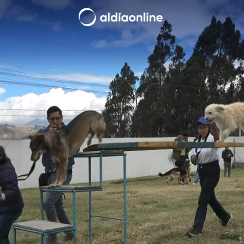 LATACUNGA YA CUENTA CON UN CENTRO DE ESTERILIZACIÓN Y DE RECUPERACIÓN CANINA