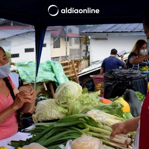 PEQUEÑOS PRODUCTORES DE LA AFC PARTICIPARÁN EN LA FERIA SALCEDO PRODUCTIVO 2023