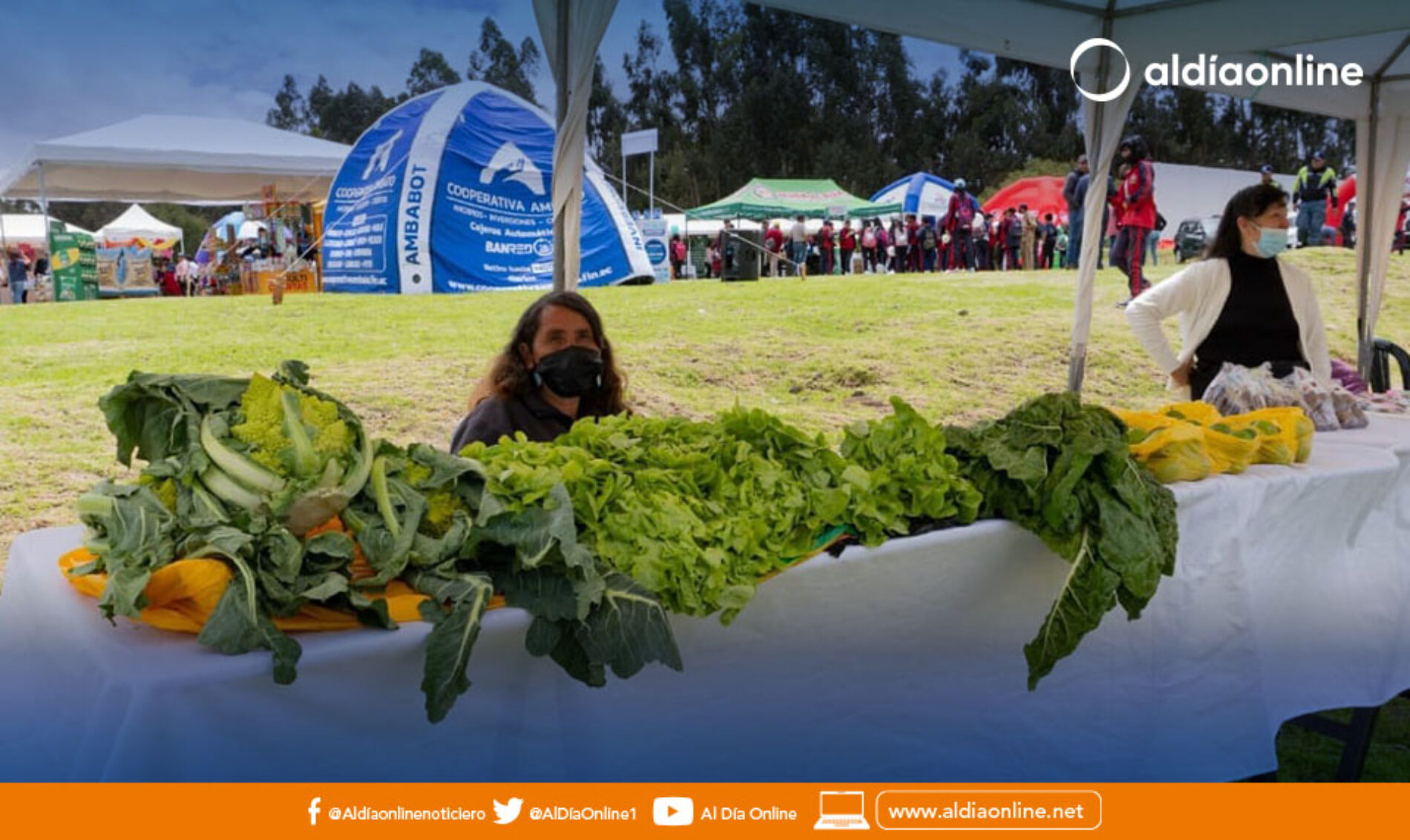 ENTRADA GRATUITA A LA FERIA DE EMPRENDIMIENTOS DE TILIPULO 2023