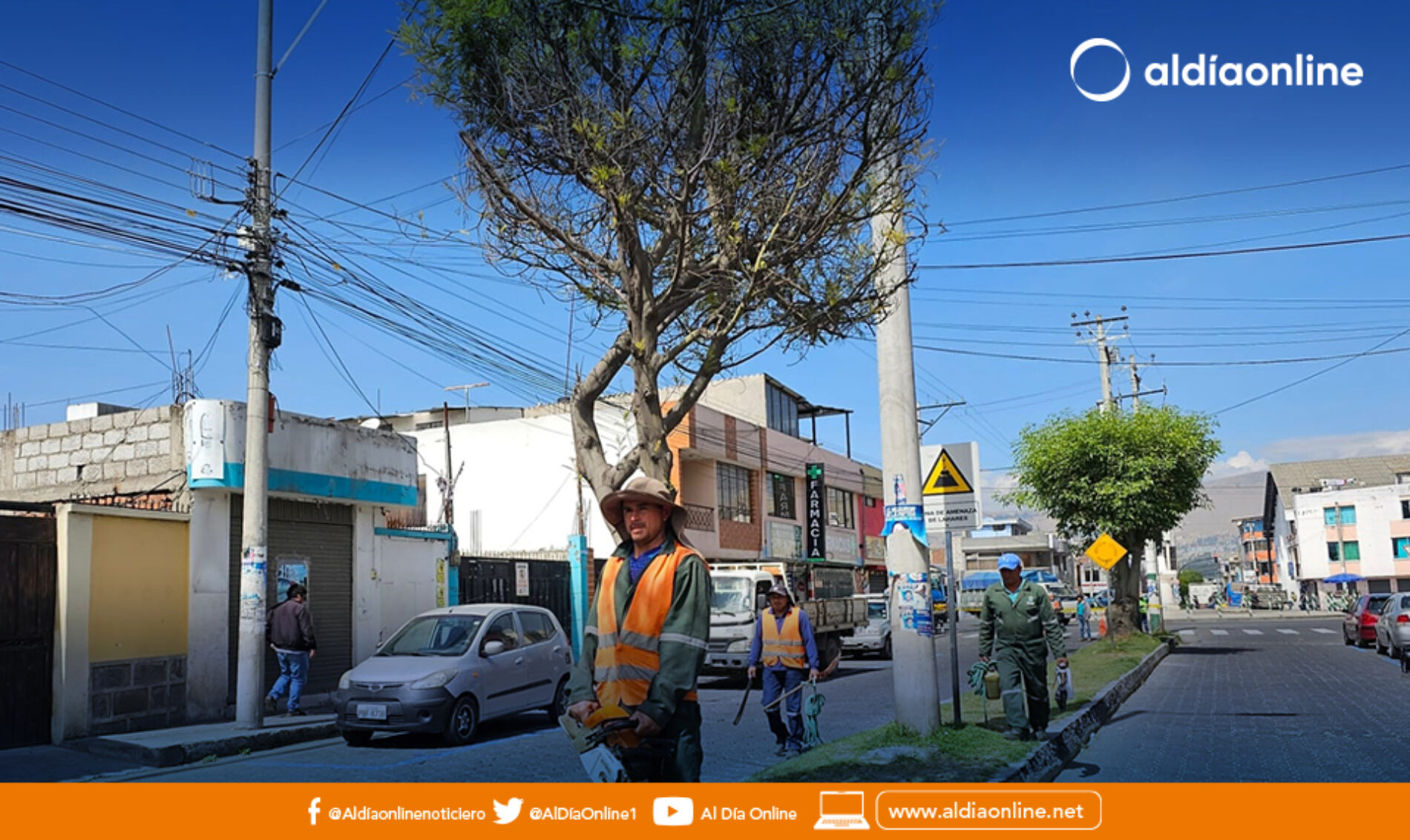 CON LA SIEMBRA DE 15 MIL PLANTAS ORNAMENTALES, LA AVENIDA OLMEDO EN SALCEDO SE LLENARÁ DE COLOR