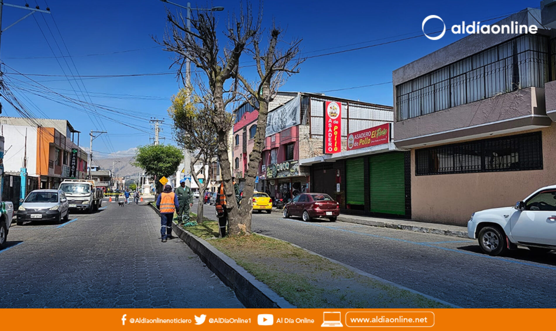 CON LA SIEMBRA DE 15 MIL PLANTAS ORNAMENTALES, LA AVENIDA OLMEDO EN SALCEDO SE LLENARÁ DE COLOR