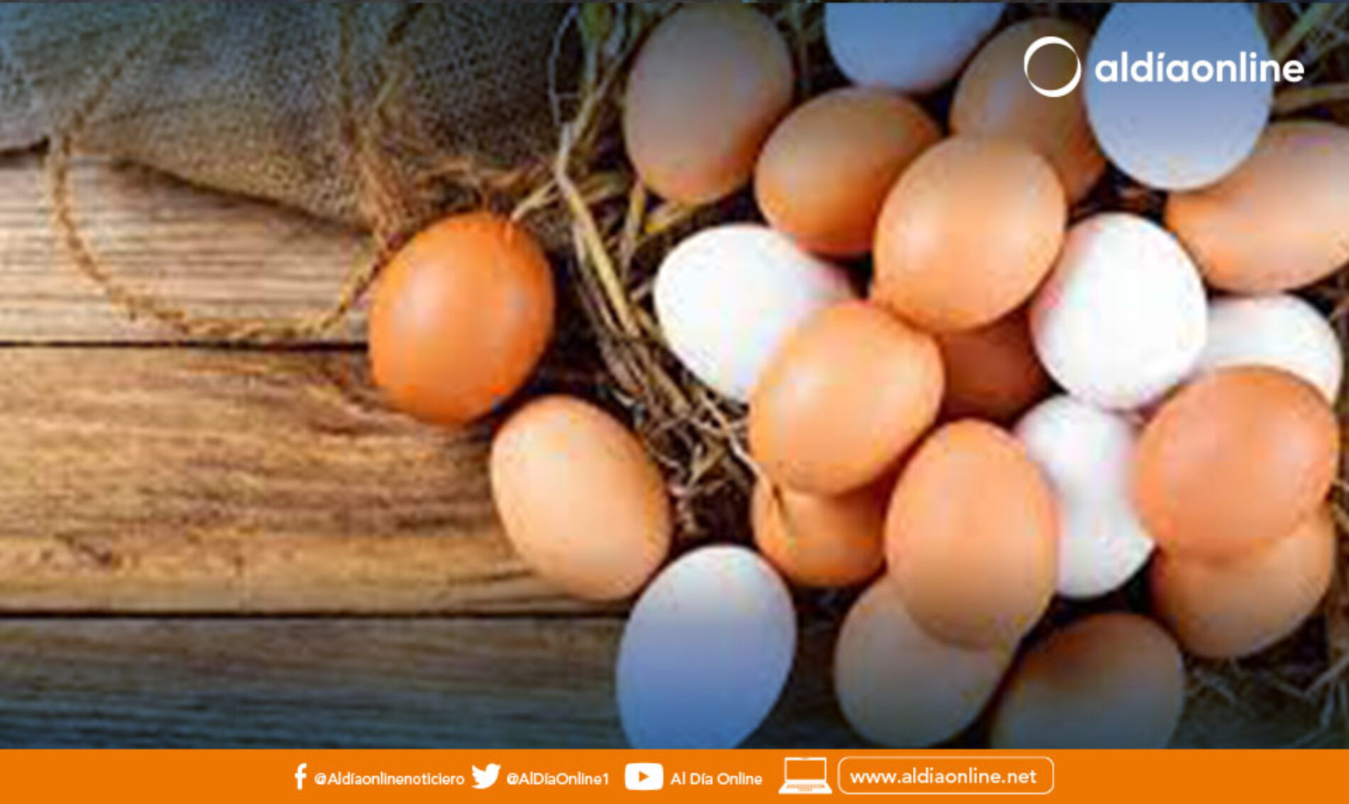 CONSUMO DE HUEVO COMBATE DESNUTRICIÓN INFANTIL