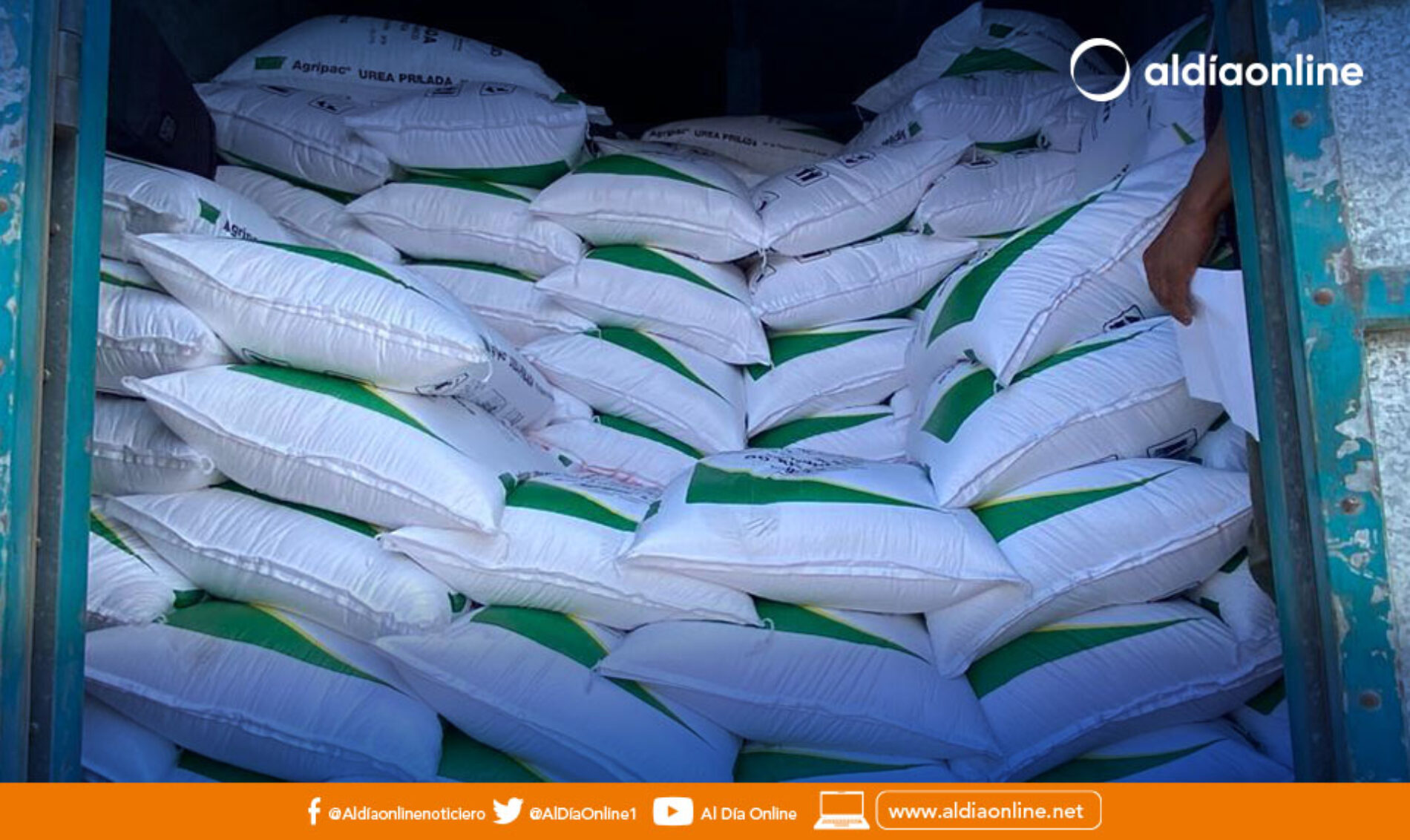 UREA SUBVENCIONADA BENEFICIA A 550 PEQUEÑOS PRODUCTORES DE SIGCHOS