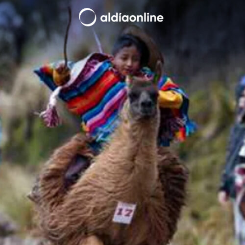 LLAMINGADA POR DÍA MUNDIAL DE LOS HUMEDALES EN CUMBIJÍN (SALCEDO) SUSPENDIDA DEFINITIVAMENTE (VIDEO)