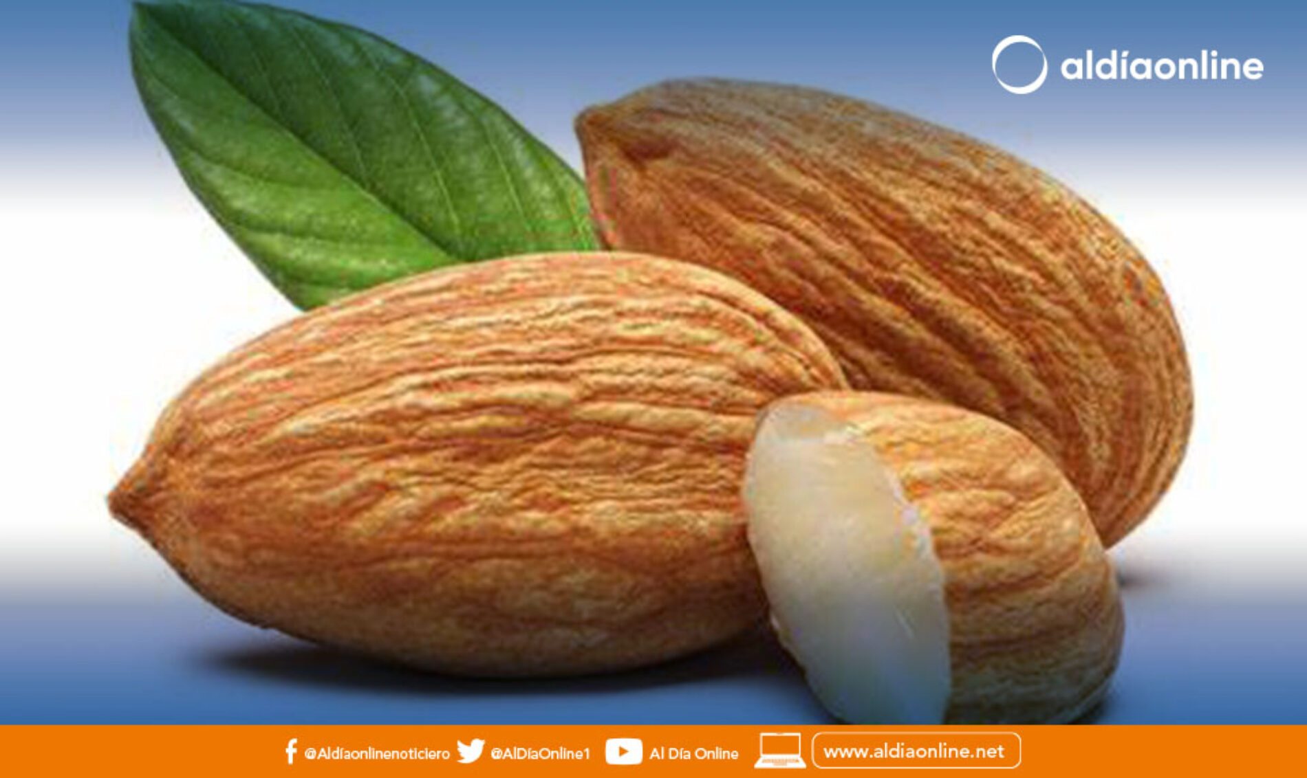 LA IMPORTANCIA DE COMER ALMENDRAS A DIARIO