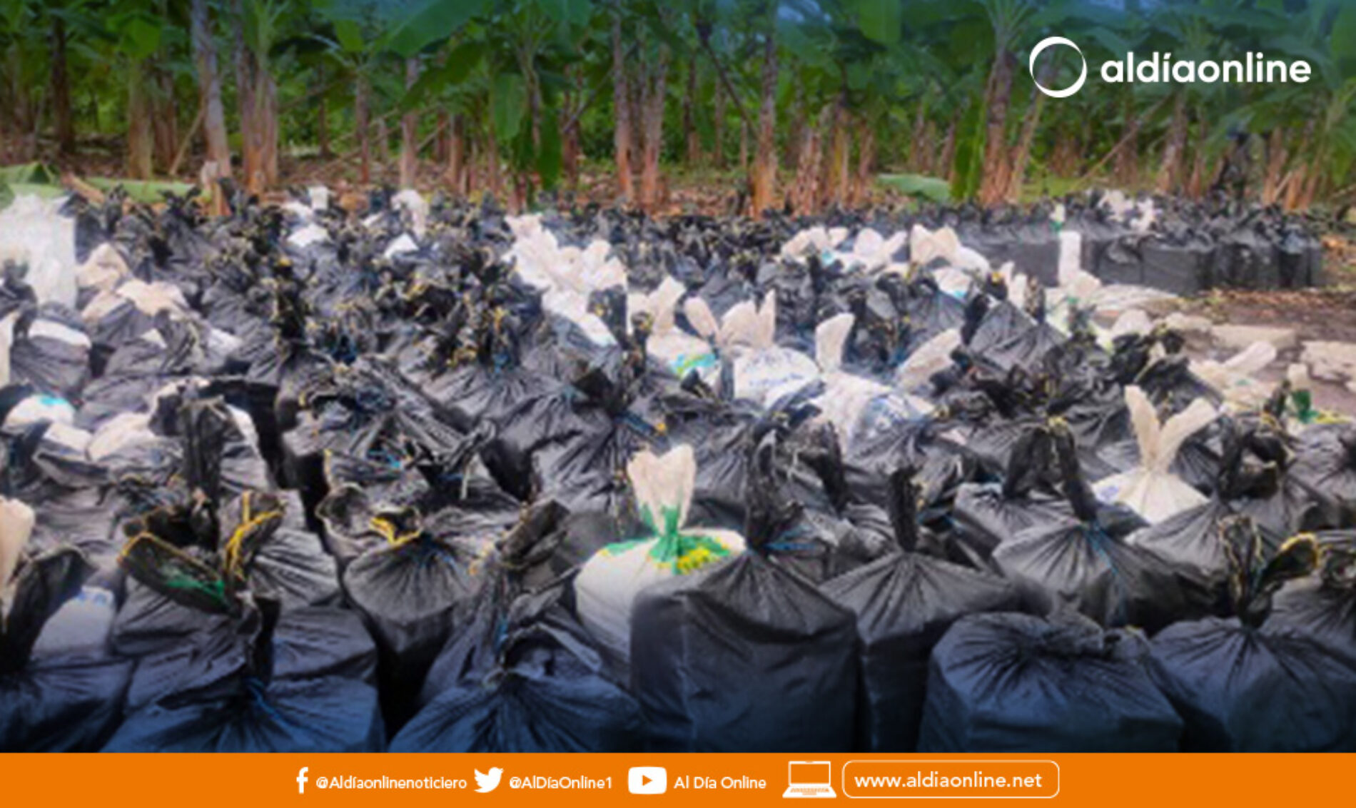 11 HORAS TOMARÁ LA DESTRUCCIÓN DE LAS 22 TONELADAS DE COCAÍNA INCAUTADAS EN VINCES