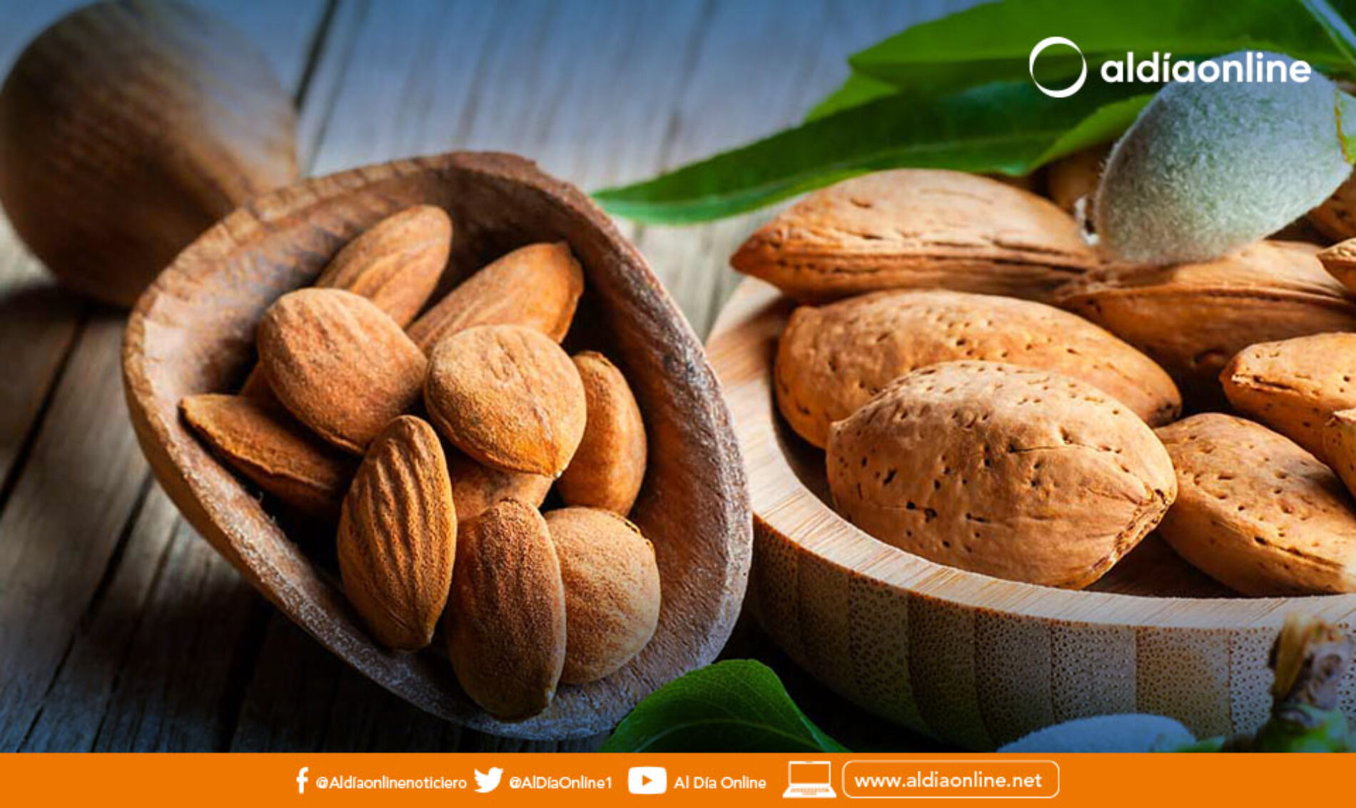LA IMPORTANCIA DE COMER ALMENDRAS A DIARIO