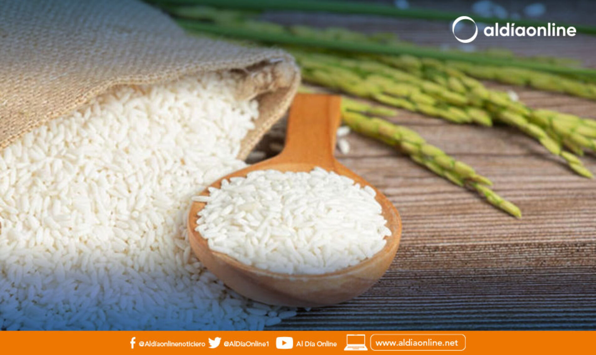 PARA DORMIR BIEN ESTOS 8 ALIMENTOS SON LOS IDEALES