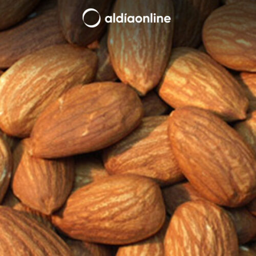 LA IMPORTANCIA DE COMER ALMENDRAS A DIARIO