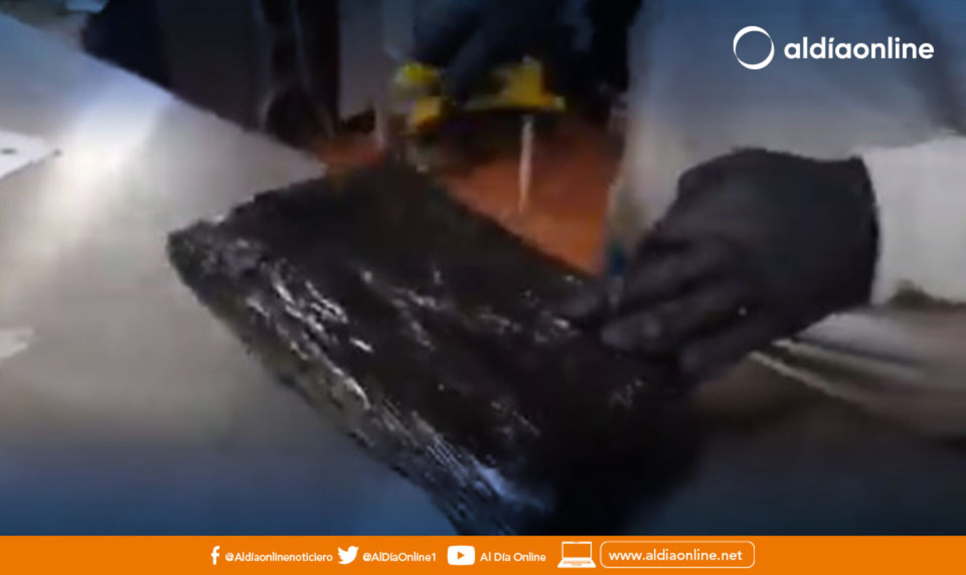 MÁS DE 100 PAQUETES DE DROGA PRETENDÍAN SER ENVIADOS DESDE EL TERMINAL DE CARCELÉN A GUAYAQUIL