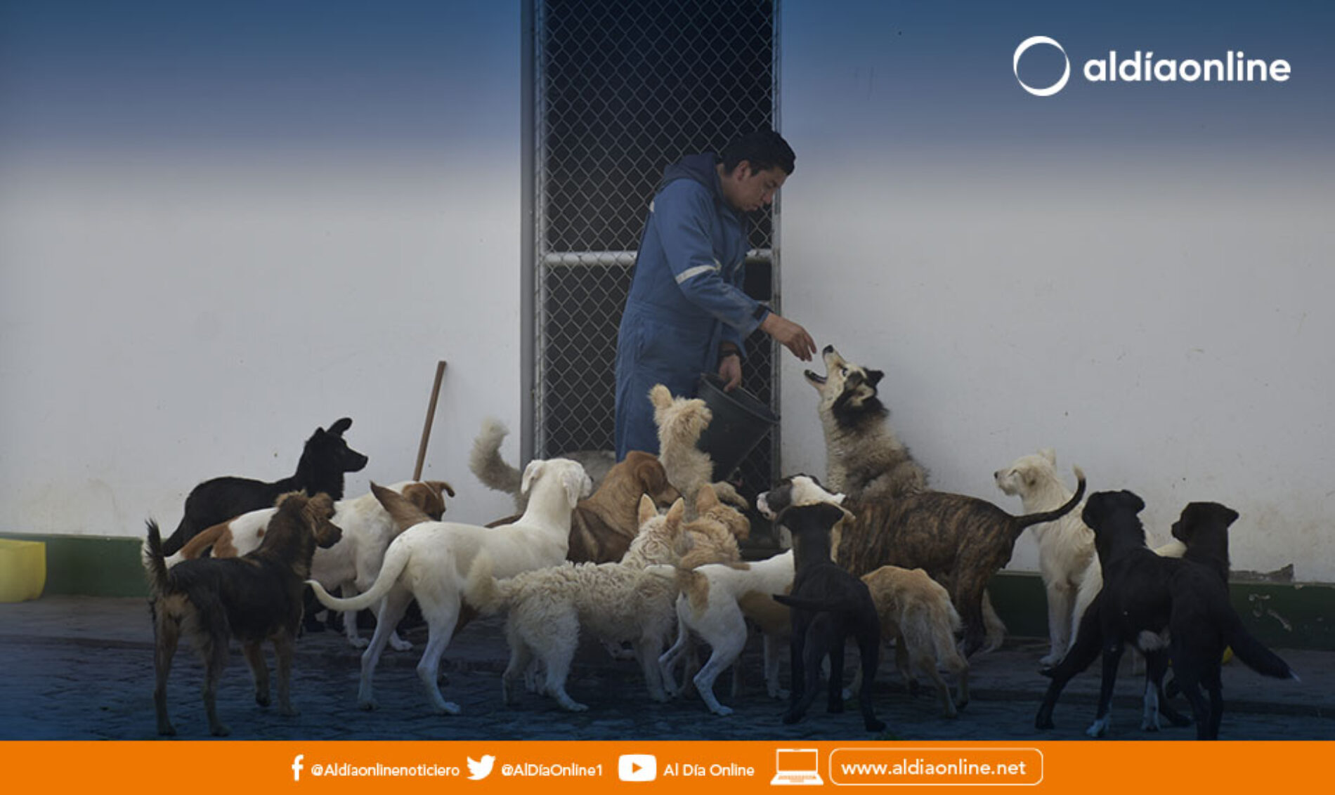 COMISIÓN DE SERVICIOS PÚBLICOS TRABAJA EN UNA ORDENANZA SUSTITUTIVA PARA LA TENENCIA DE MASCOTAS
