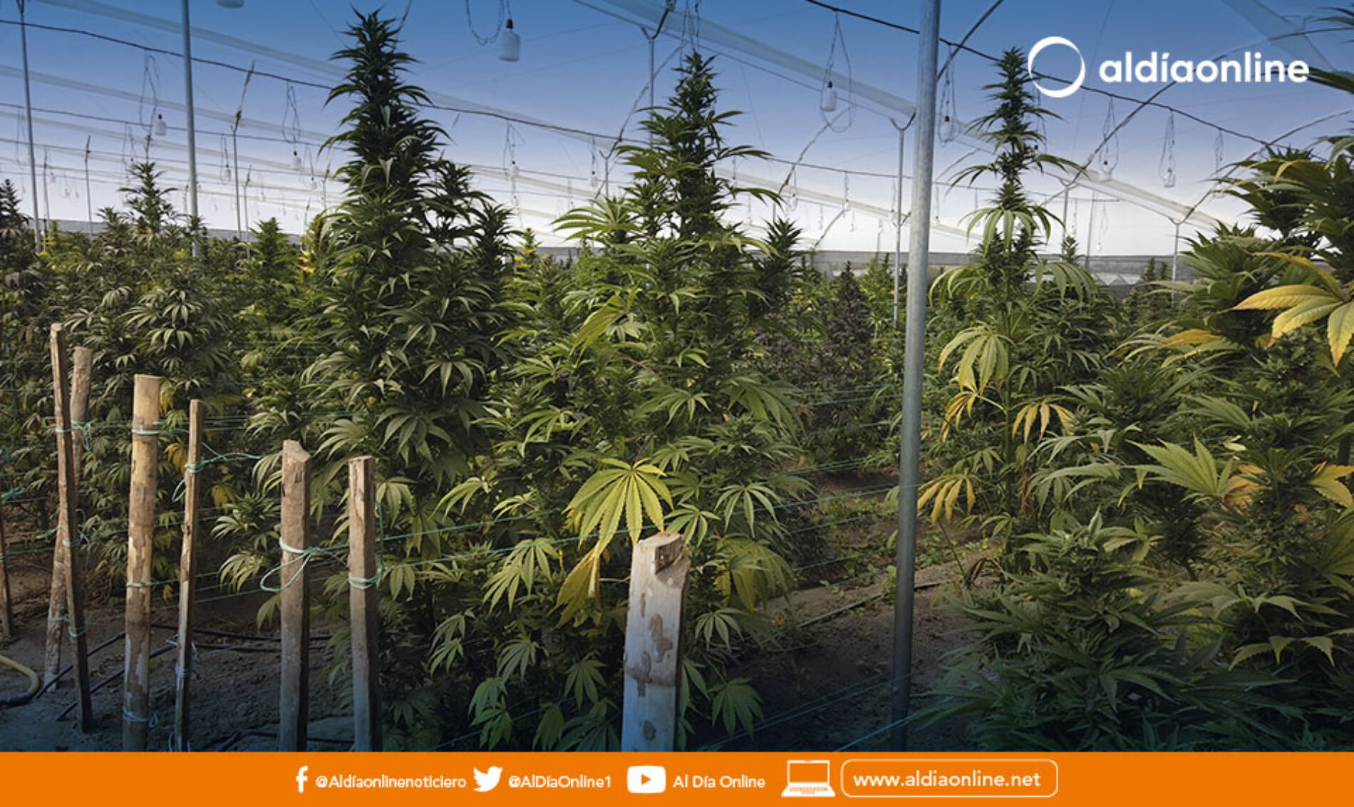  PREFECTURA DE COTOPAXI IMPULSA EL SECTOR PRODUCTIVO MEDIANTE CONVENIO INTERNACIONAL CON JAPÓN.