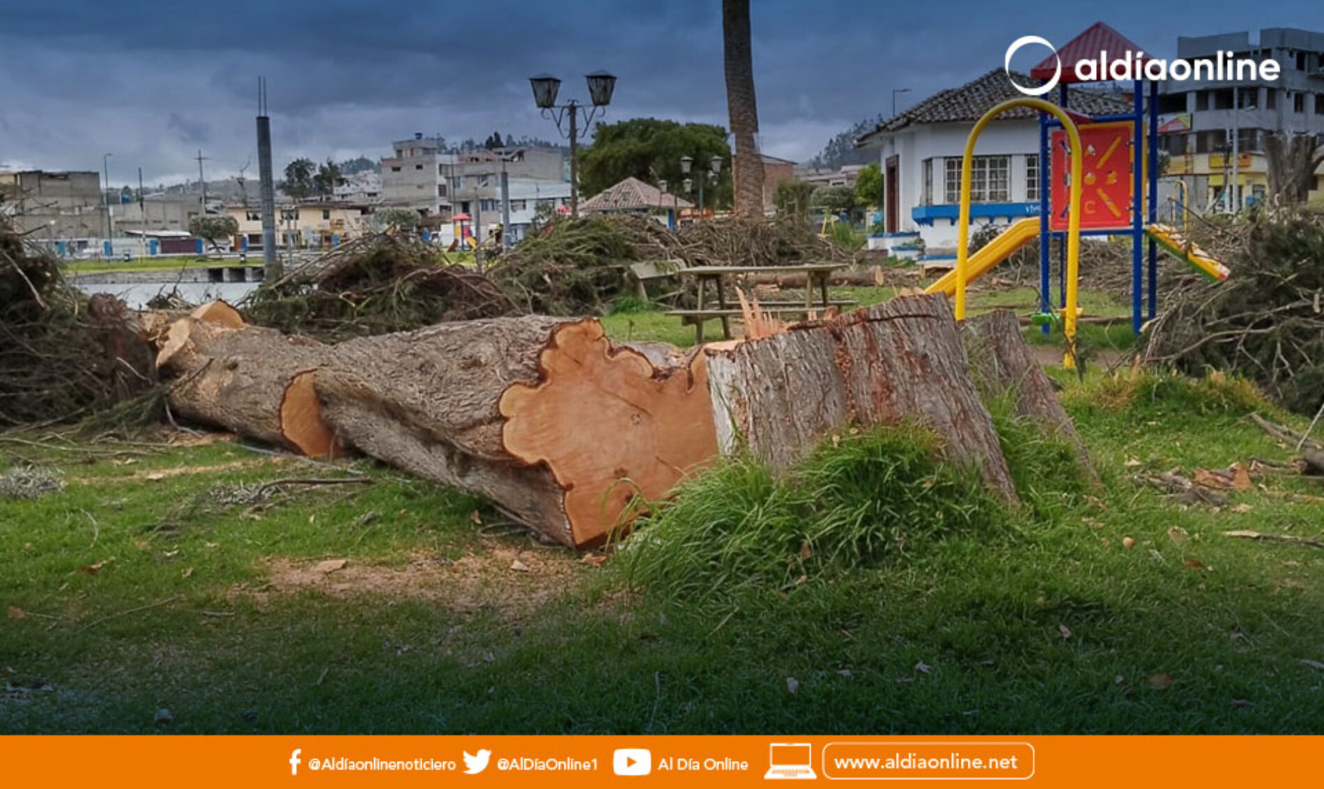 VICEALCALDESA DE LATACUNGA DISCREPA CON INFORME DE MEDIO AMBIENTE PARA LA TALA DE ARBOLES EN EL PARQUE LA LAGUNA.(VIDEO)