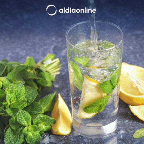 ¿CUÁLES SON LOS BENEFICIOS DEL TÉ DE MENTA VERDE?