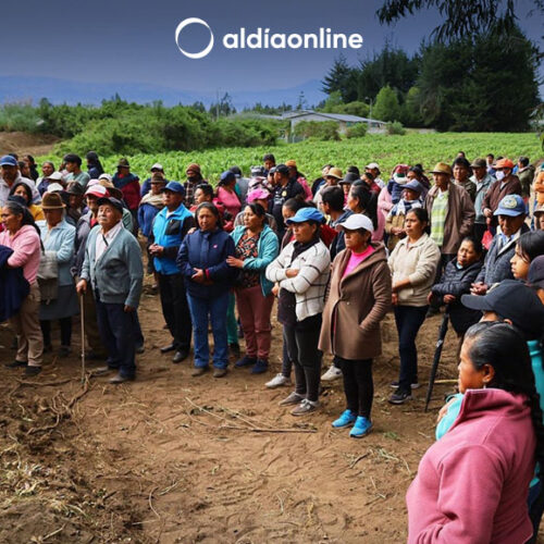 CANAL DE AGUA DE RIEGO TAMBUYACU RECIBE ATENCIÓN MUNICIPAL