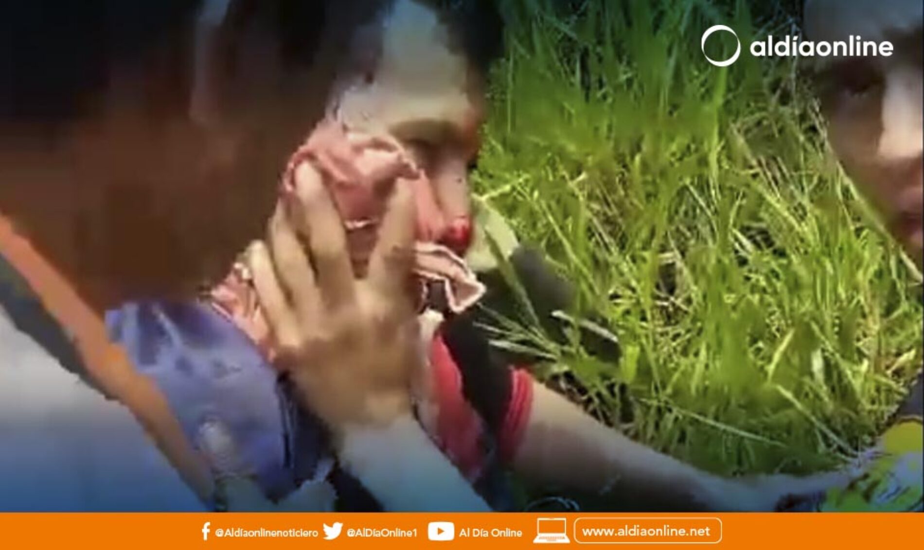 INDÍGENAS COORDINAN MOVILIZACIONES EN SOLIDARIDAD A PALO QUEMADO EN TODO EL PAÍS