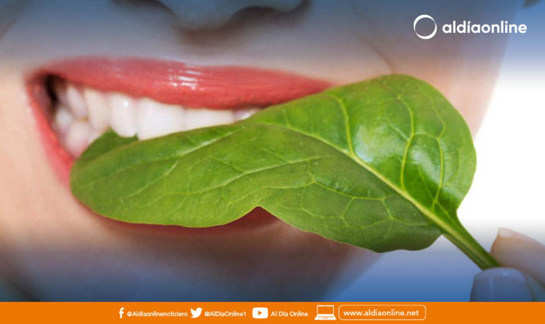 ALIMENTOS PARA LA SALUD DEL COLON