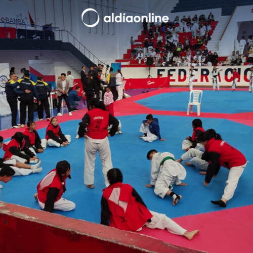 12 MEDALLAS PARA COTOPAXI EN CAMPEONATO PRESELECTIVO DE TAEKWONDO EN RIOBAMBA