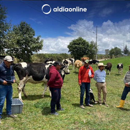 MAG EJECUTA CAMPAÑAS DE DESPARASITACIÓN Y VITAMINIZACIÓN DE 2.140 ANIMALES EN COTOPAXI