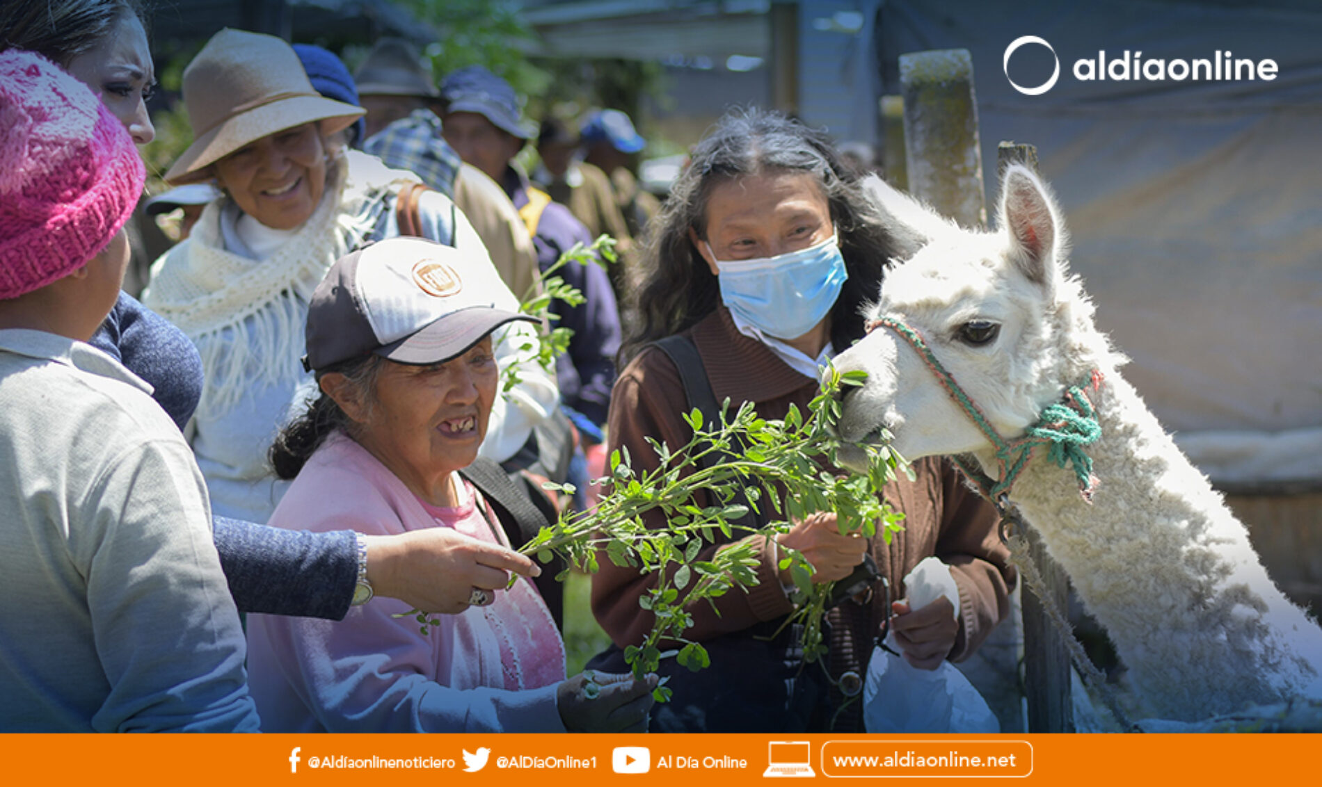 EL PATRONATO DE SALCEDO PROMUEVE EXPERIENCIAS SIGNIFICATIVAS Y NATURALES PARA LOS ABUELITOS DEL CIAG