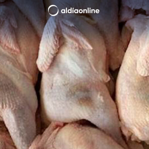 NO HAY QUE LAVAR EL POLLO ANTES DE COCINARLO: MIRA POR QUÉ