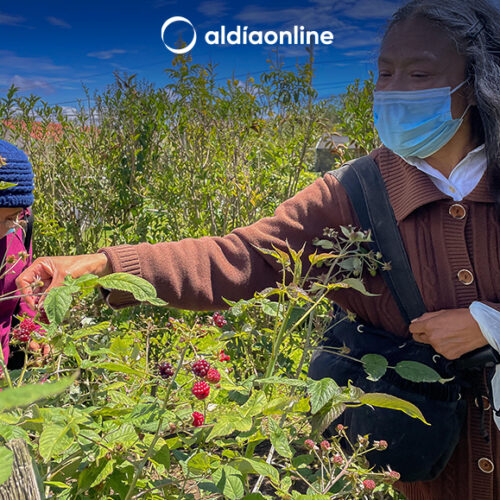 EL PATRONATO DE SALCEDO PROMUEVE EXPERIENCIAS SIGNIFICATIVAS Y NATURALES PARA LOS ABUELITOS DEL CIAG