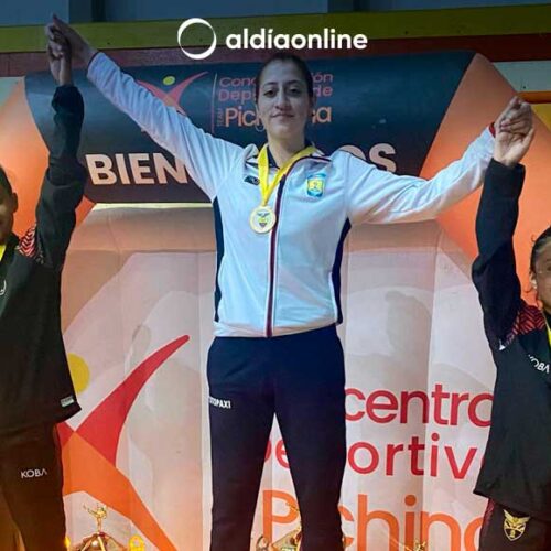 FEDE COTOPAXI BRILLA EN EL CAMPEONATO NACIONAL  SENIOR DE KARATE DO EN QUITO