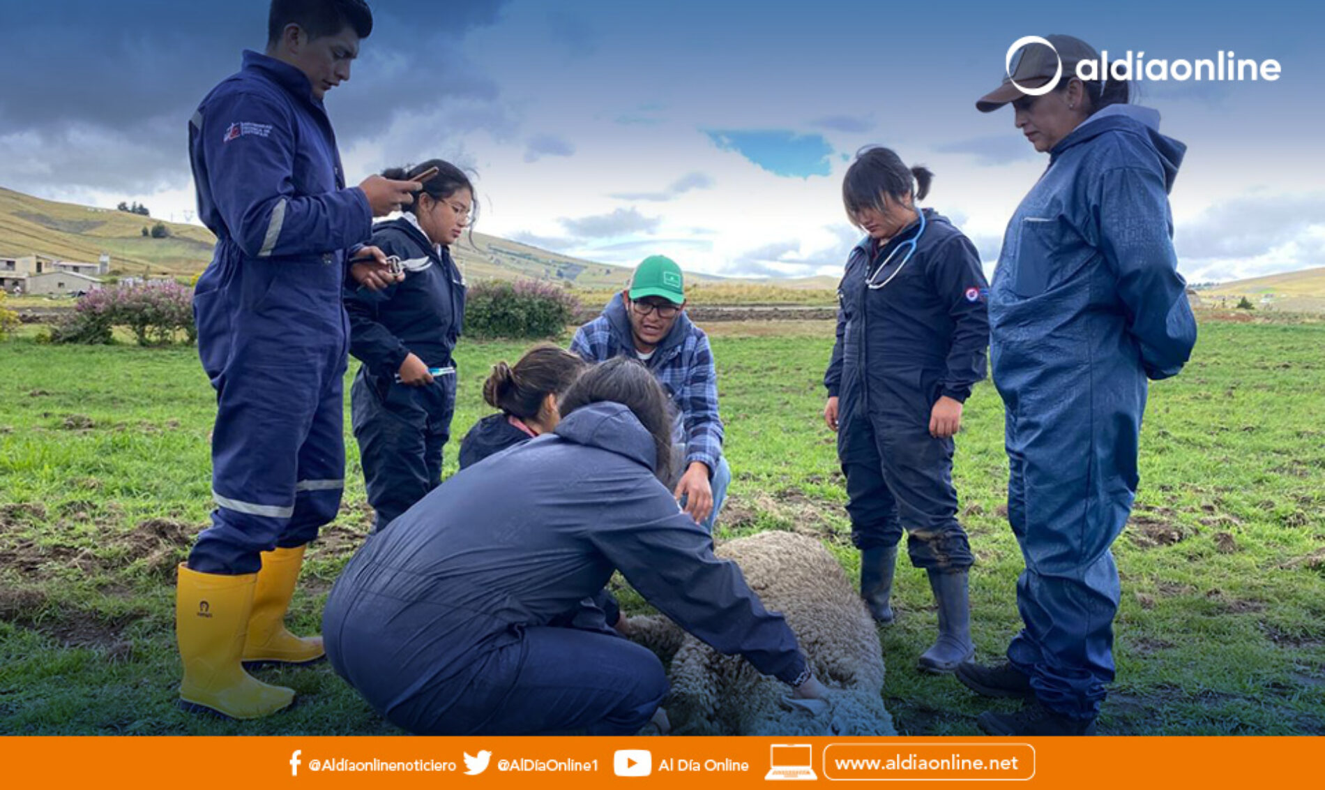 300 OVINOS RECIBEN ATENCIÓN PREVENTIVA EN COCHAPAMBA, COTOPAXI