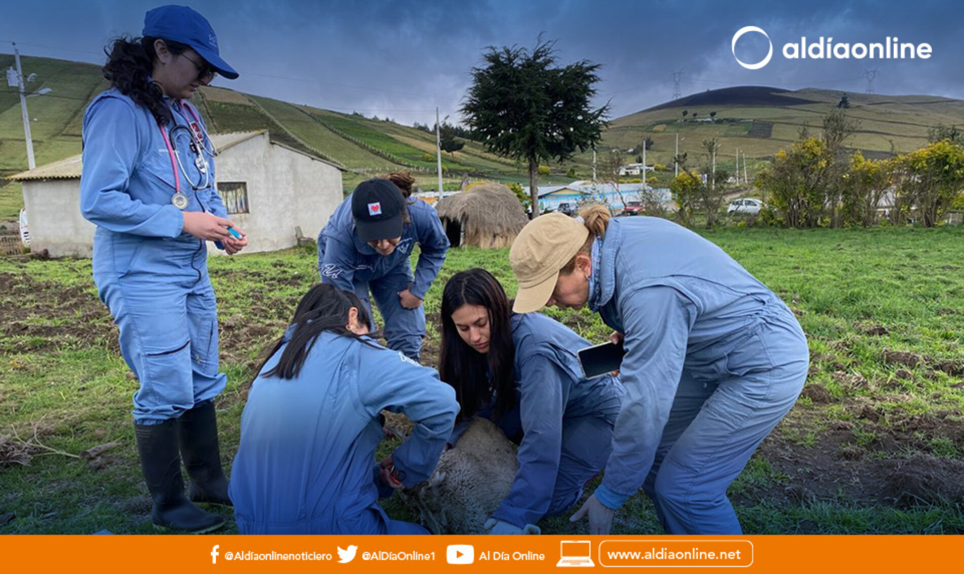 300 OVINOS RECIBEN ATENCIÓN PREVENTIVA EN COCHAPAMBA, COTOPAXI